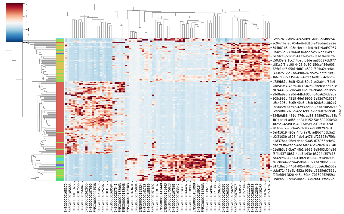 Gene Expression Heatmap