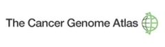 TCGA: The Cancer Genome Atlas